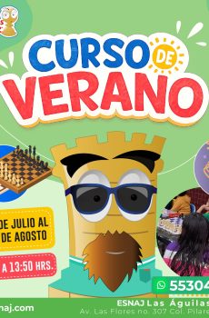 Curso de Verano 2026 PILARES ÁGUILAS