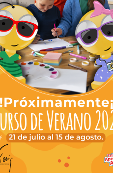 Curso de Verano 2025