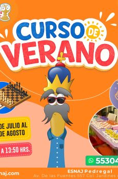 CURSO DE VERANO 2026 ESNAJ PEDREGAL